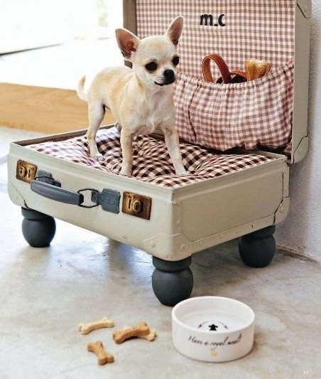 Ideas DIY Una maleta vintage se convierte en una cama para perros 