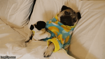 pug duerme en una casa para perros en pijama