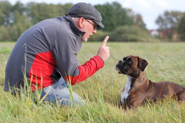el dueño del perro en el parque le enseña a su perro cómo comportarse, lleva una chaqueta gris y roja y un sombrero gris 