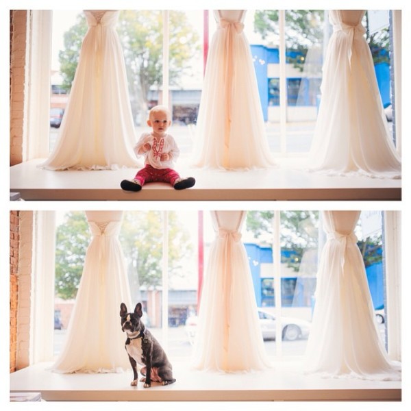niña con cabello rubio y boston terrier frente a las cortinas en una tienda de novias