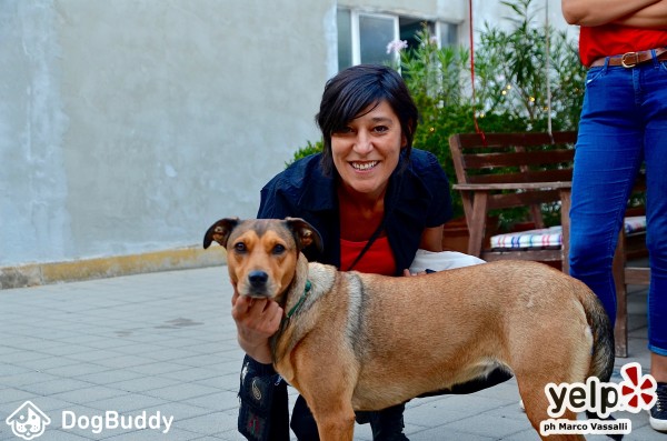 evento dogbuddy con sandra canguro y sofi