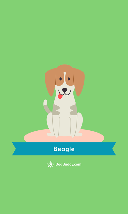 beagle-mobile-wallpaper-blog-imagen