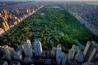 Vista aérea Árboles en Central Park